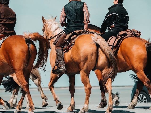 Consejos de seguridad para las rutas a caballo