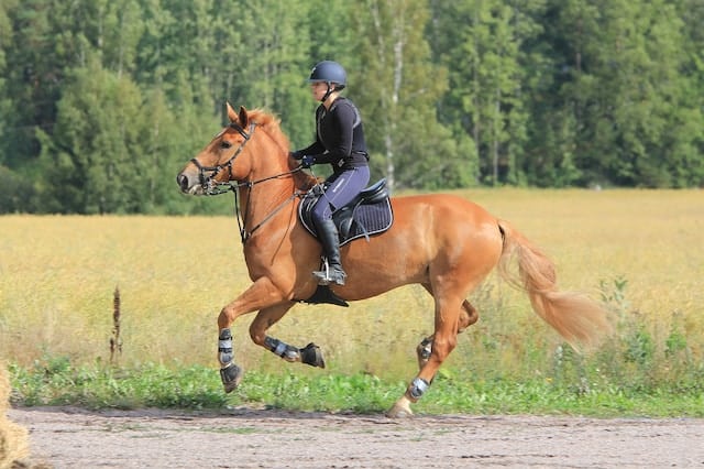 accesorios seguridad montar a caballo