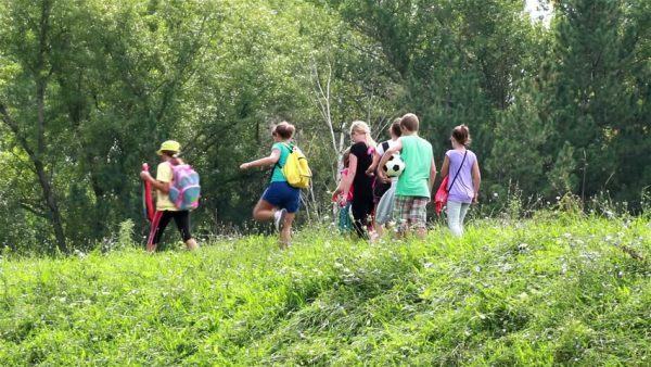 Consejos de seguridad para excursiones escolares