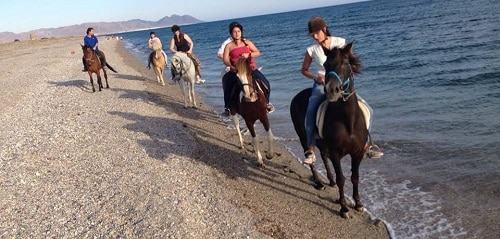 Recomendaciones para hacer excursiones a caballo en familia