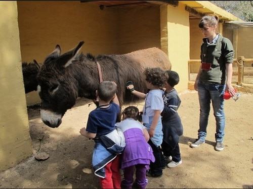 cuidado de animales en granja escuela