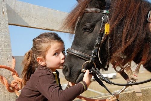 paseos a caballo con niños