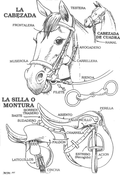 Implementos del caballo