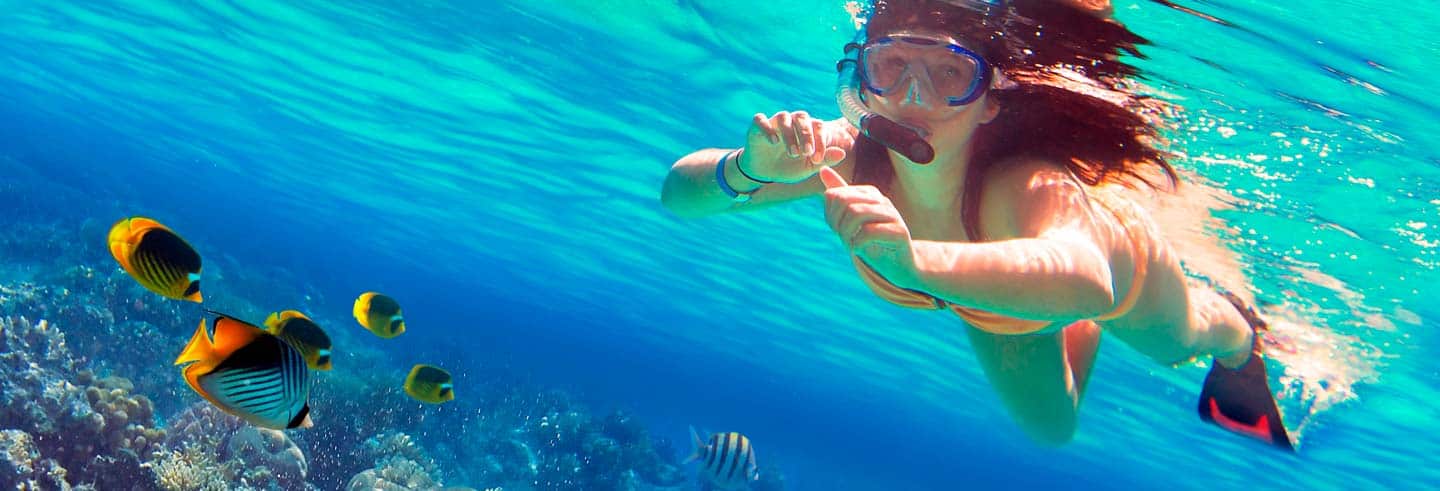 Cómo hacer snorkel