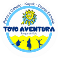 Toyo Aventura