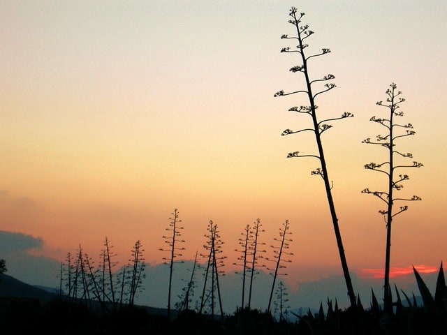 atardecer en Nijar