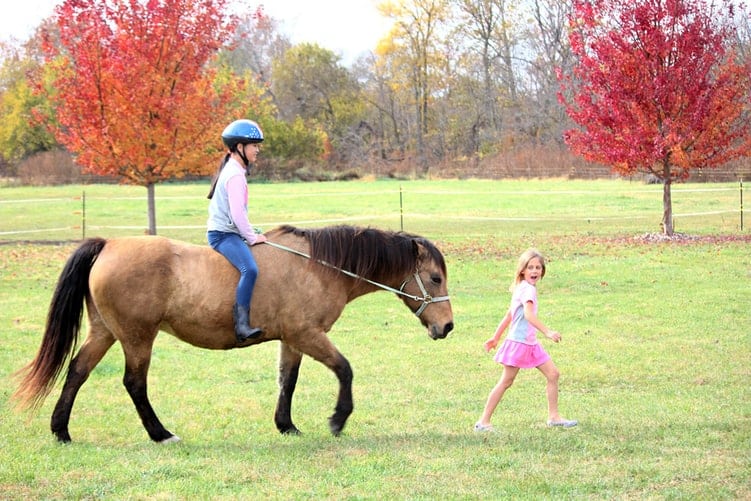 niños usando caballo