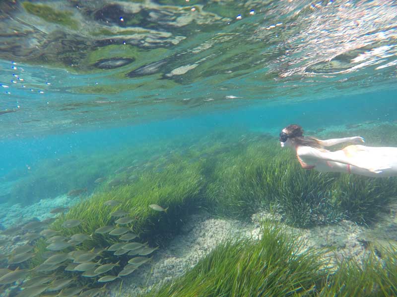 kayak en cabo de gata toyo aventura