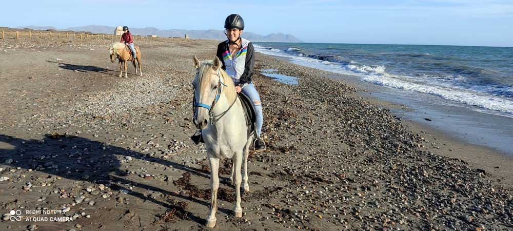 caballos-ruta
