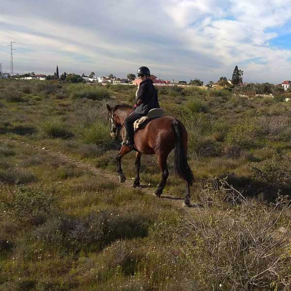 ruta-a-caballo-sierra-alhamilla