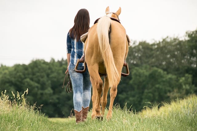 perder miedo a montar caballo