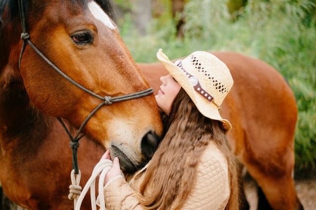 terapia asistida con caballos