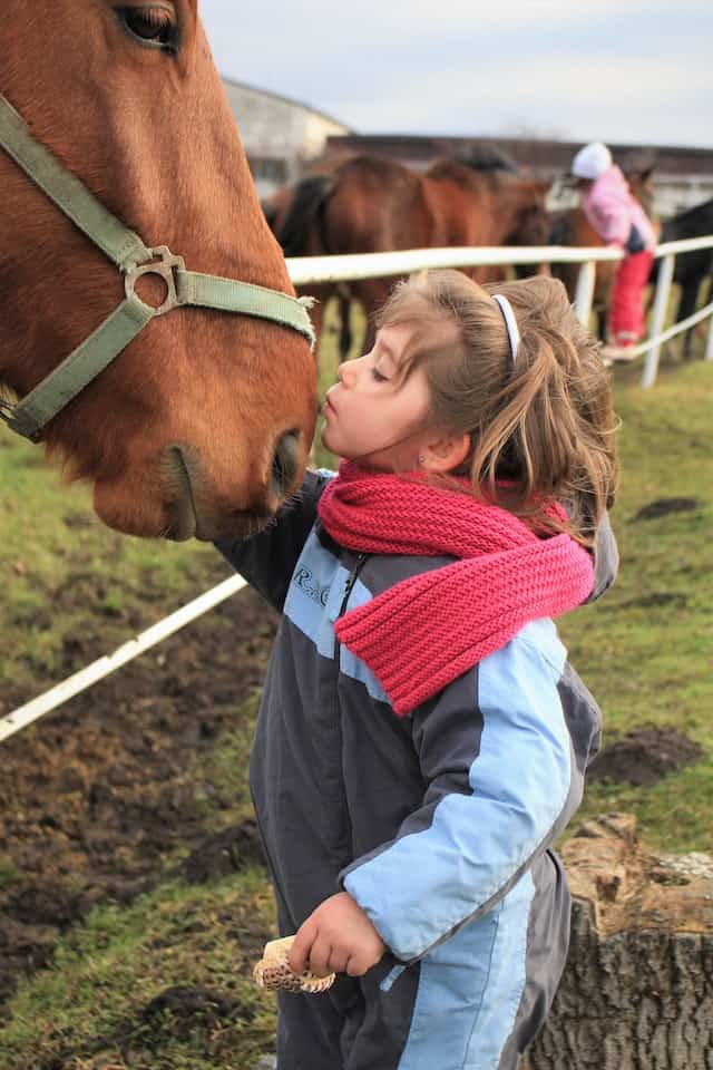 confianza de caballo