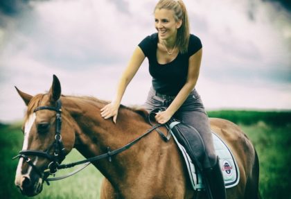 ganarte la confianza de un caballo