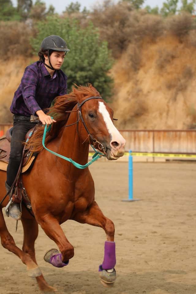 como vestir para ir a montar caballo