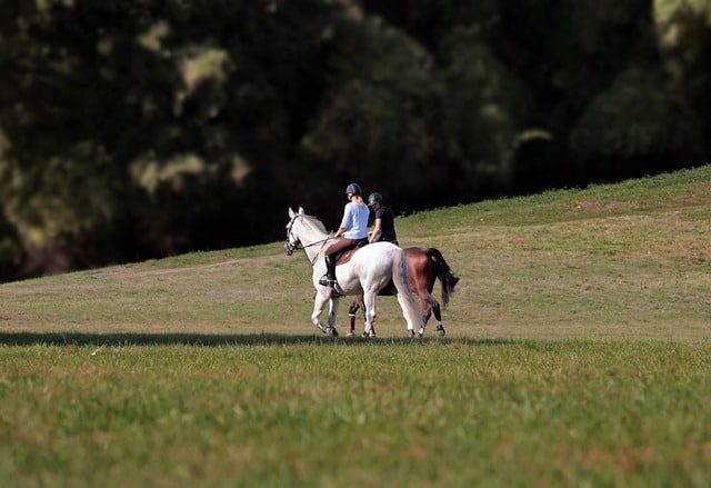 paseos a caballo en españa