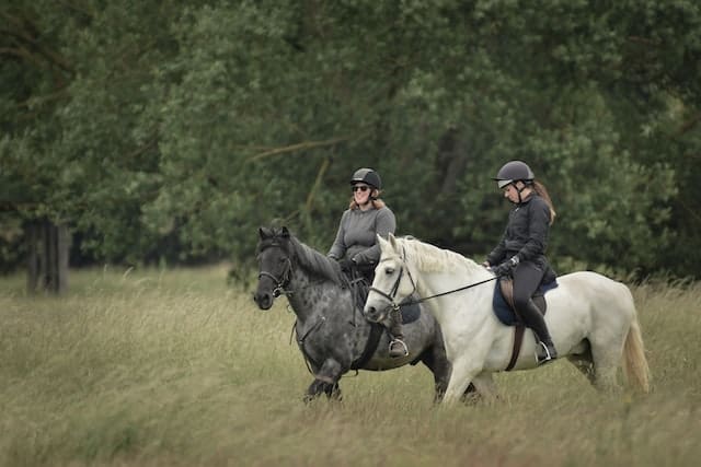 ropa montar a caballo