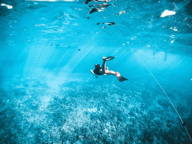 hacer snorkel de forma respetuosa con el medio ambiente