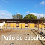 patio de caballos