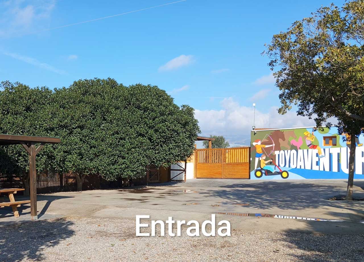 entrada-toyo