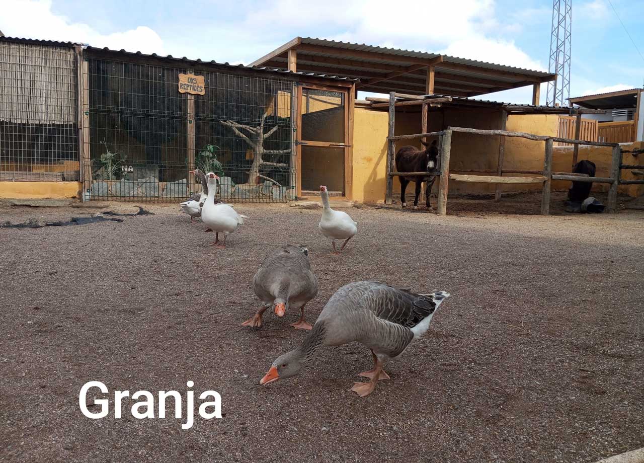 granja-toyo