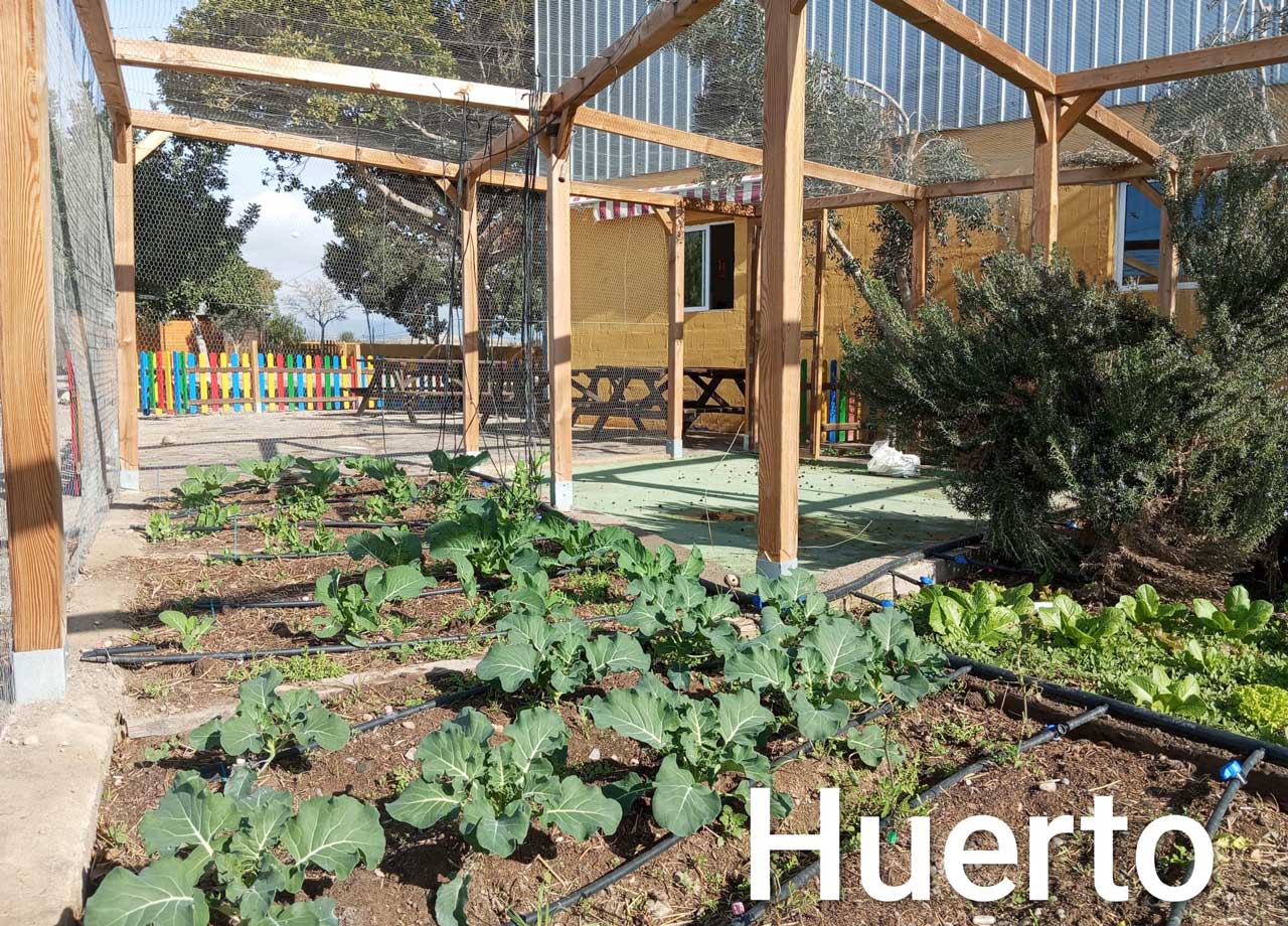 huerto-toyo