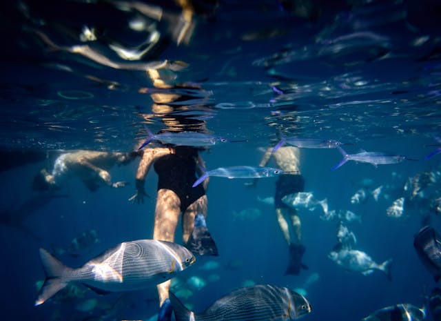 practicar snorkel en Cabo de Gata